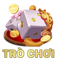 Lịch Sử Giao Dịch và Hoạt Động